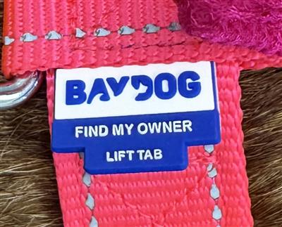 Chesapeake Bay Dog Harness
