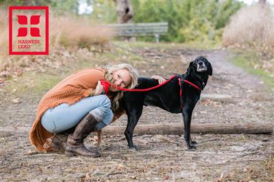 Red Reflective Harness Lead | No Pull, Escape Proof & Handcrafted USA
