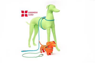 Pink Harness Lead | No Pull, Escape Proof, Gentle & Handcrafted in USA