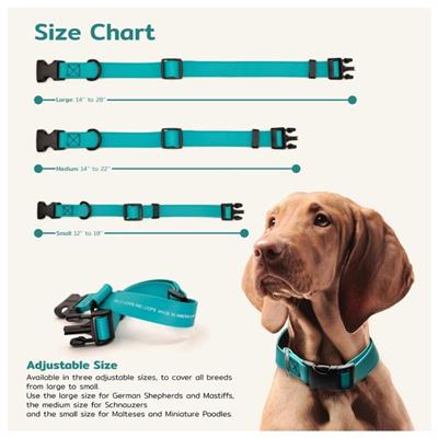 Jelly Pet Biothane Large Dog Collar – Adjustable, Durable & Waterproof