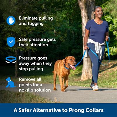 PetSafe Soft Point Training Collar – No-Pull, Safe & Adjustable