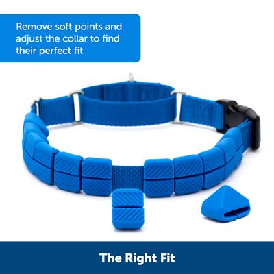 PetSafe Soft Point Training Collar – No-Pull, Safe & Adjustable