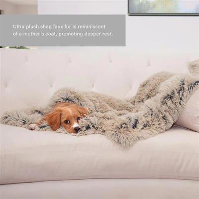 Best Friends by Sheri Shag Pet Blanket – Taupe 30x40, Ultra-Soft & Cozy