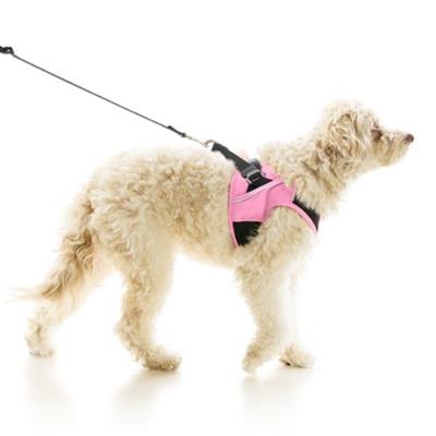 Escape Free Easy Fit X Harness | No Escape Step-In Dog Harness