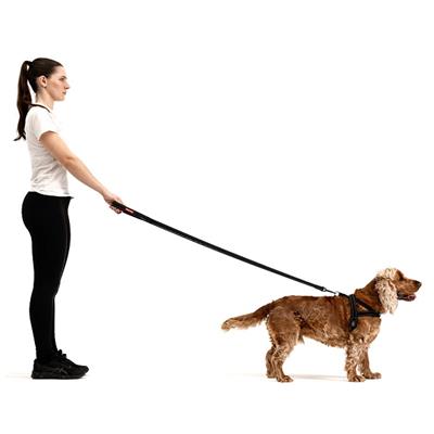 EzyDog Quick Fit Harness | Easy On-Off, Reflective & Adjustable Fit
