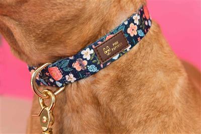 Riley Dog Collar – Adjustable, Luxe Gold Hardware & Vegan Leather Tag