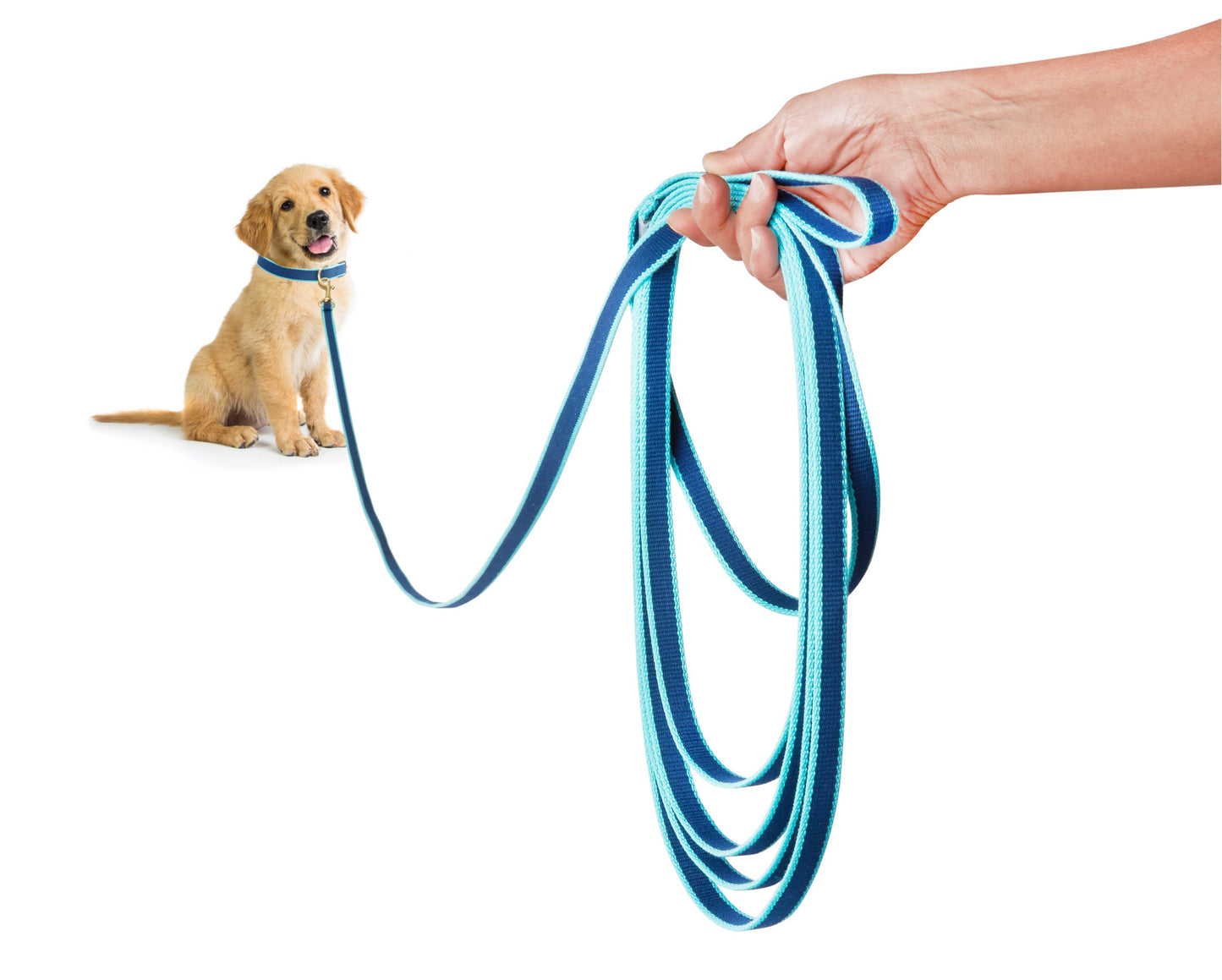 Color Market Training Lead