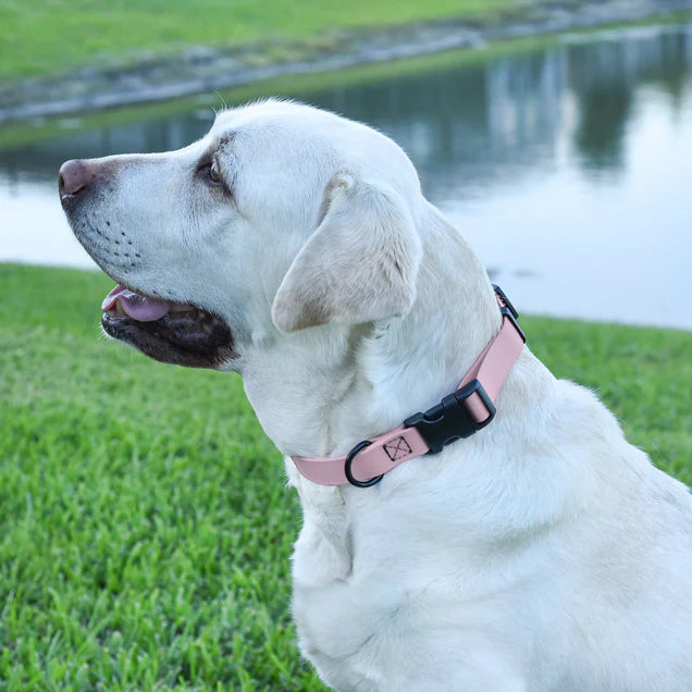 Dogline Biothane Waterproof Dog Collar – Quick Release & Durable