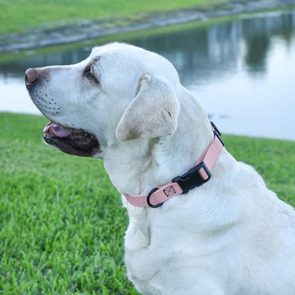 Dogline Biothane Waterproof Dog Collar – Quick Release & Durable