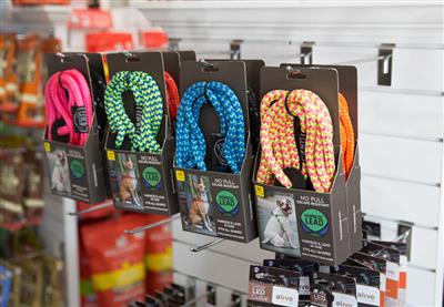 Peacock Blue Lime Harness Lead | No Pull, Escape Proof, USA Made