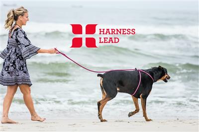 Peacock Blue Lime Harness Lead | No Pull, Escape Proof, USA Made