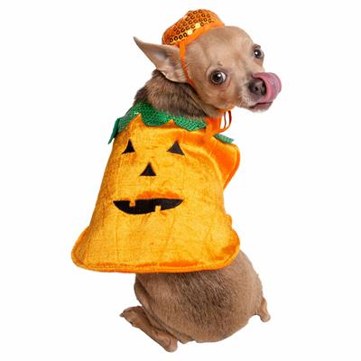 Pumpkin Dog Costume – Spooky Halloween Outfit for Pets, 2-Piece Set