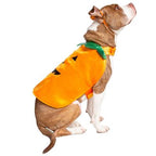 Pumpkin Dog Costume – Spooky Halloween Outfit for Pets, 2-Piece Set