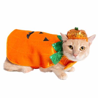 Pumpkin Dog Costume – Spooky Halloween Outfit for Pets, 2-Piece Set