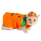 Pumpkin Dog Costume – Spooky Halloween Outfit for Pets, 2-Piece Set