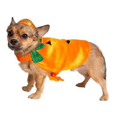 Pumpkin Dog Costume – Spooky Halloween Outfit for Pets, 2-Piece Set