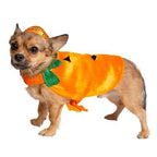 Pumpkin Dog Costume – Spooky Halloween Outfit for Pets, 2-Piece Set