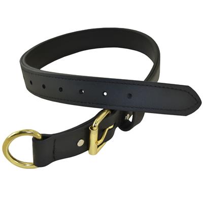 1 1/4" Double-Layered Biothane Dog Collar – Durable & Brass Hardware