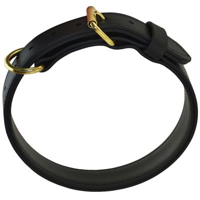 1 1/4" Double-Layered Biothane Dog Collar – Durable & Brass Hardware