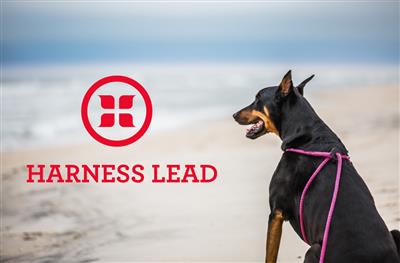 Retro Pink Purple Harness Lead | No Pull, Escape Proof, USA Made