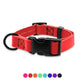 Jelly Pet Biothane Large Dog Collar – Adjustable, Durable & Waterproof