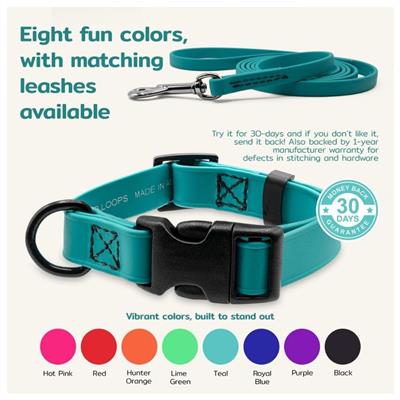 Jelly Pet Biothane Large Dog Collar – Adjustable, Durable & Waterproof