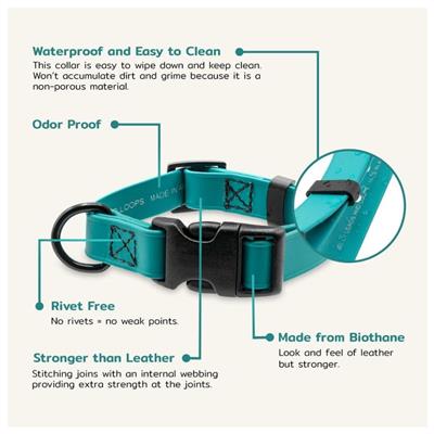 Jelly Pet Biothane Large Dog Collar – Adjustable, Durable & Waterproof
