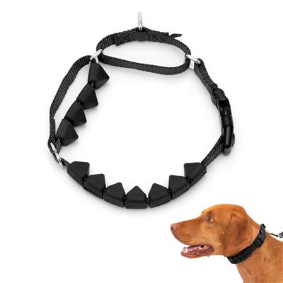 PetSafe Soft Point Training Collar – No-Pull, Safe & Adjustable