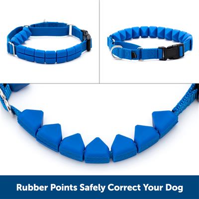 PetSafe Soft Point Training Collar – No-Pull, Safe & Adjustable