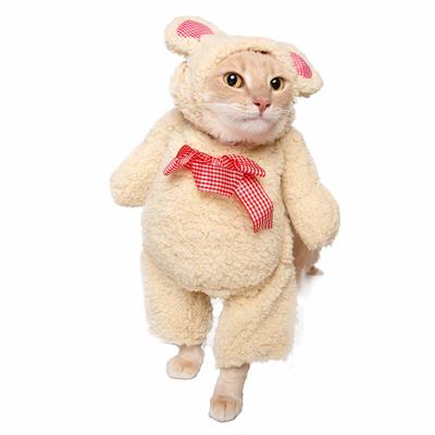 Walking Teddy Bear Dog Costume – Adorable Plush Pet Outfit