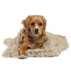 Best Friends by Sheri Shag Pet Blanket – Taupe 30x40, Ultra-Soft & Cozy