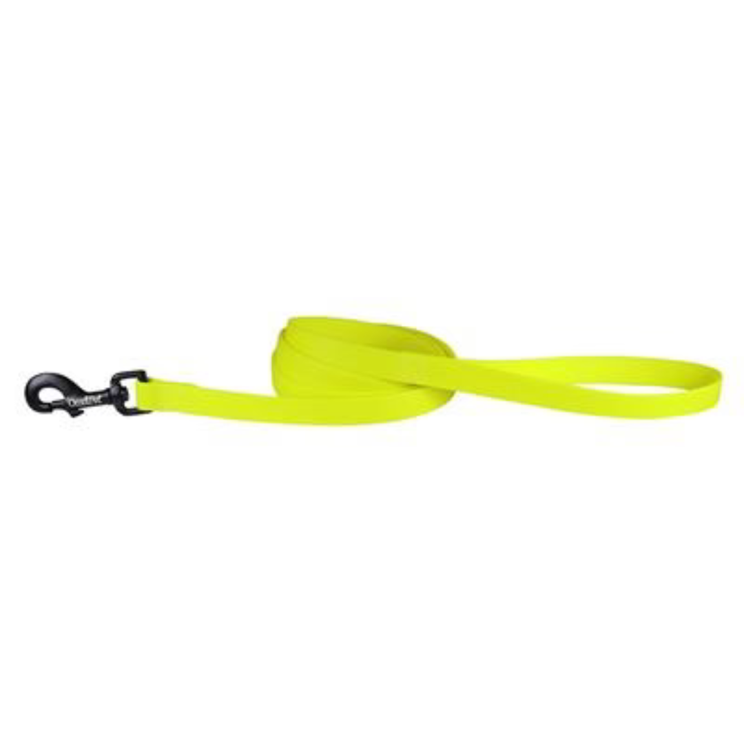 Neon Yellow Biothane Dog Collar & Lead – Waterproof & Durable