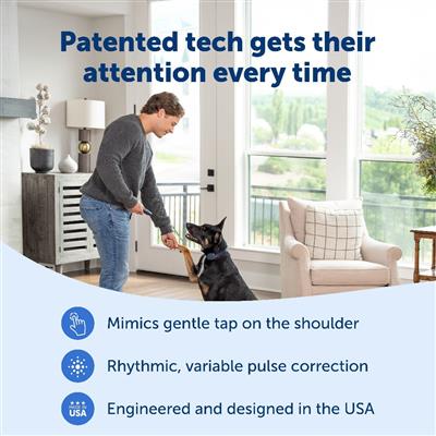 PetSafe® Basic Dog Trainer with Remote – Static & Vibration Collar