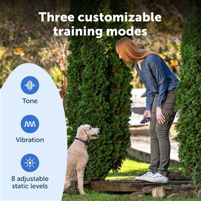 PetSafe® Basic Dog Trainer with Remote – Static & Vibration Collar