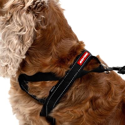 EzyDog Quick Fit Harness | Easy On-Off, Reflective & Adjustable Fit