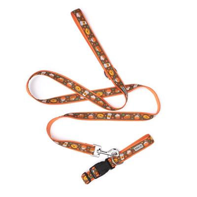 Pumpkin Spice Dog Collar and Lead Set | Adjustable, Durable & Stylish