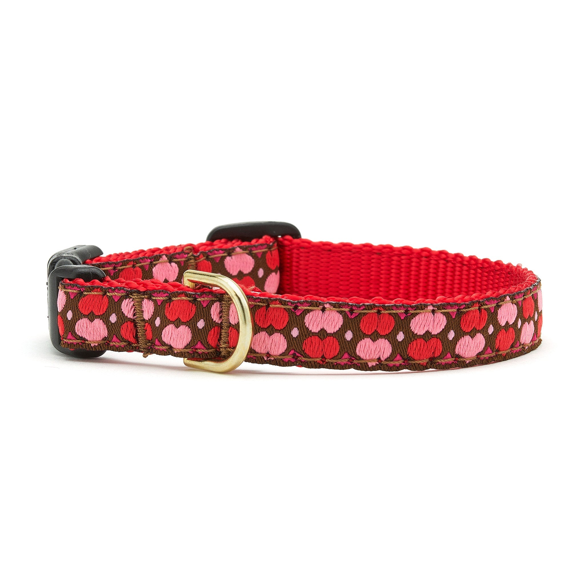All Hearts Small Breed Dog Collar Dog