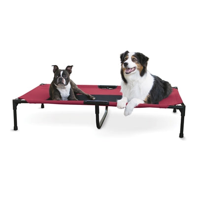 K&H Elevated Indoor/Outdoor Pet Bed – Easy Assembly, Mesh Design