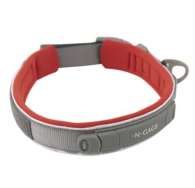 Premium Reflective Dog Collar – Durable, Comfortable & Adjustable