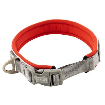Premium Reflective Dog Collar – Durable, Comfortable & Adjustable