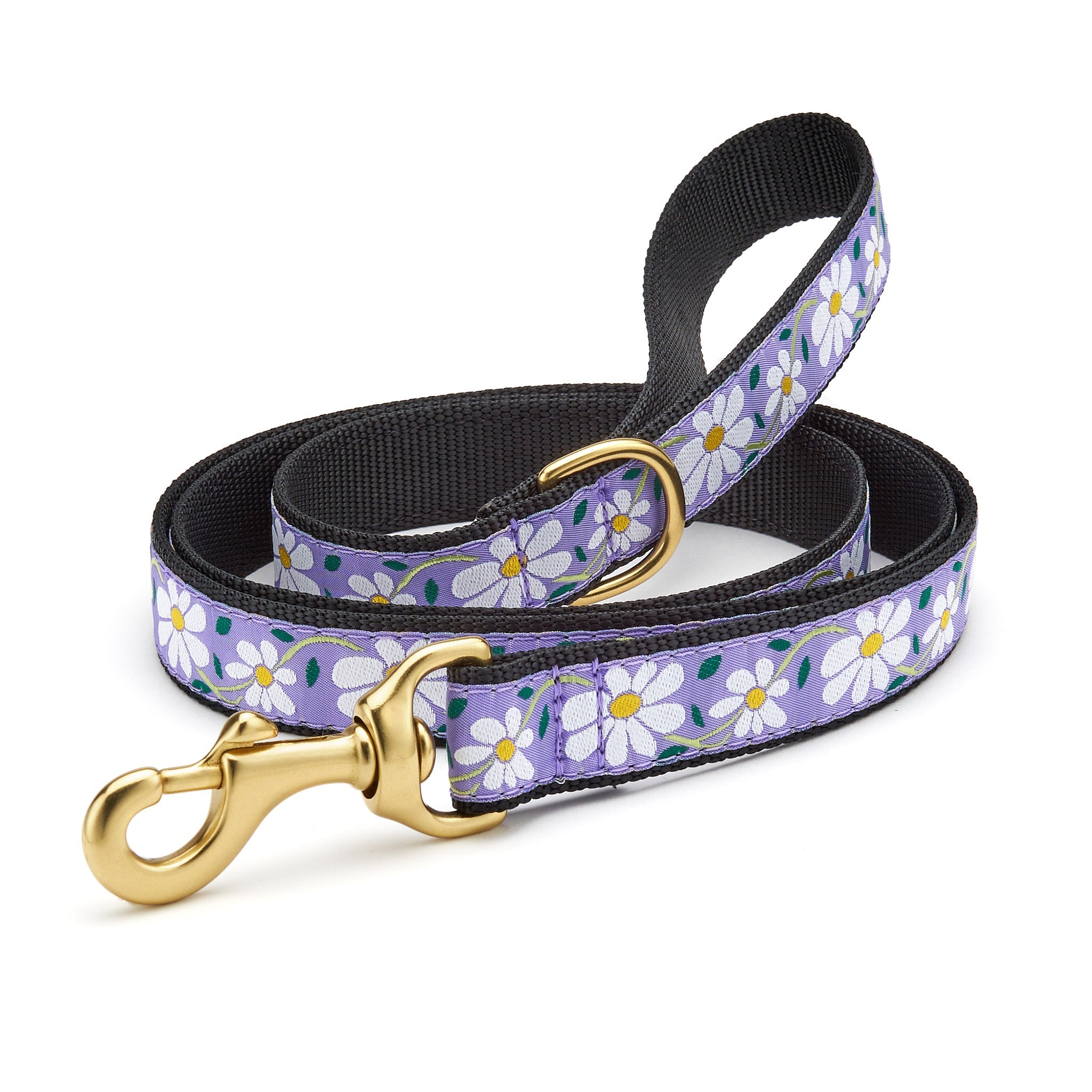 Daisy Dog Lead Dog