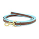 Color Market Small Breed Dog Lead