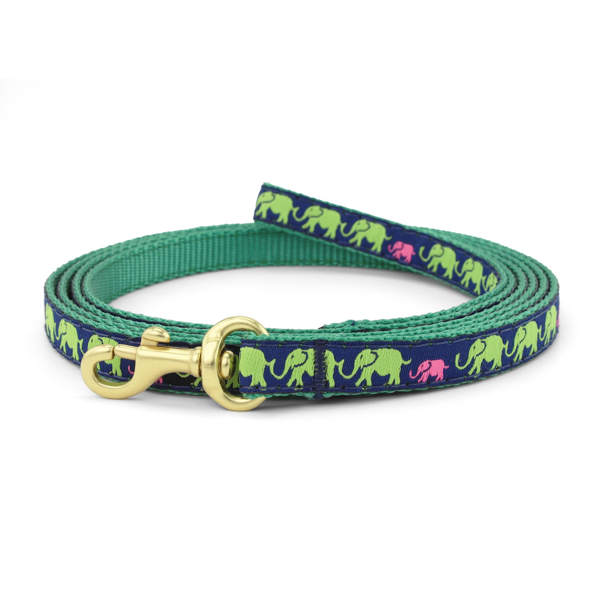 Leader of the Pach Small Breed Dog Lead Dog