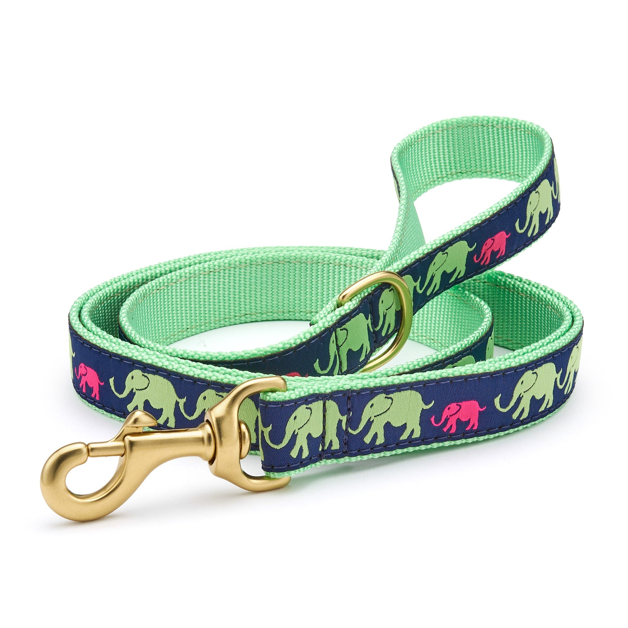 Leader of the Pach Dog Lead Dog