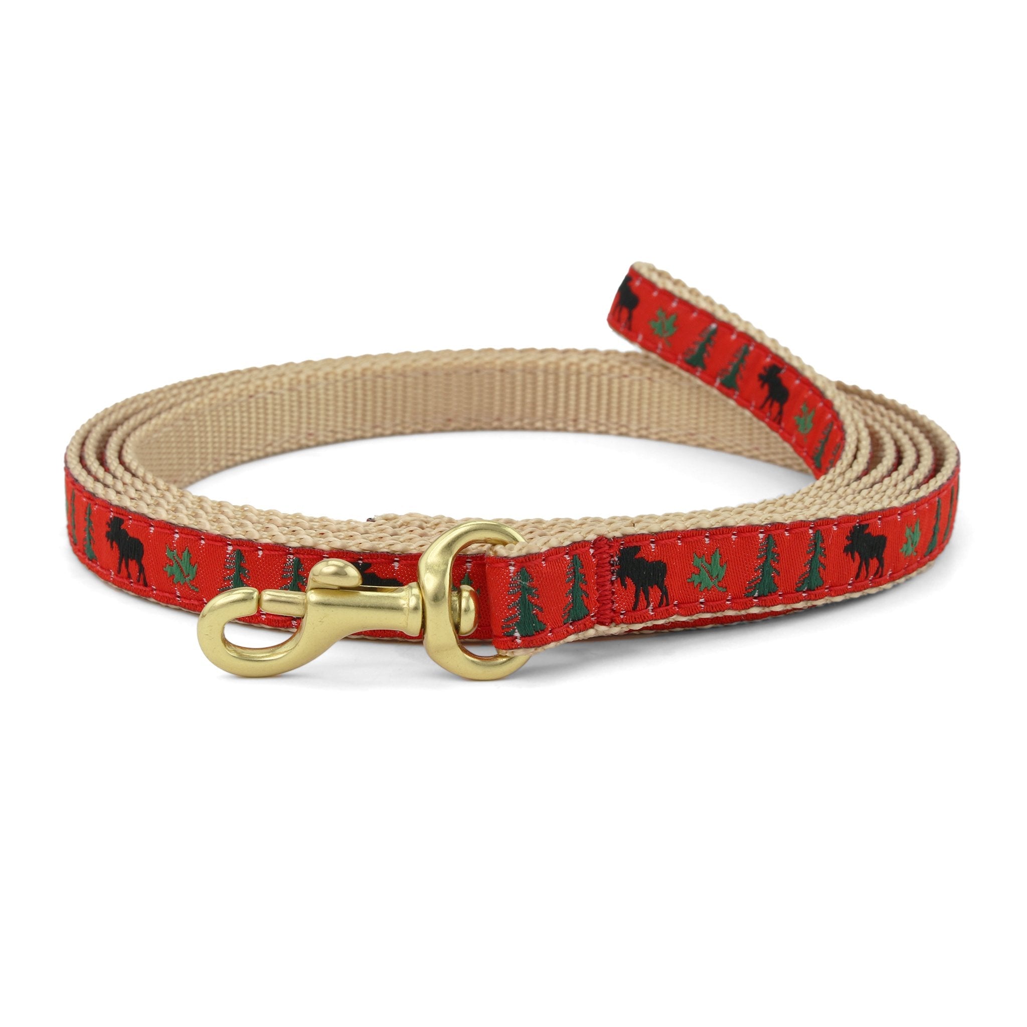 Moose Small Breed Dog Lead Dog