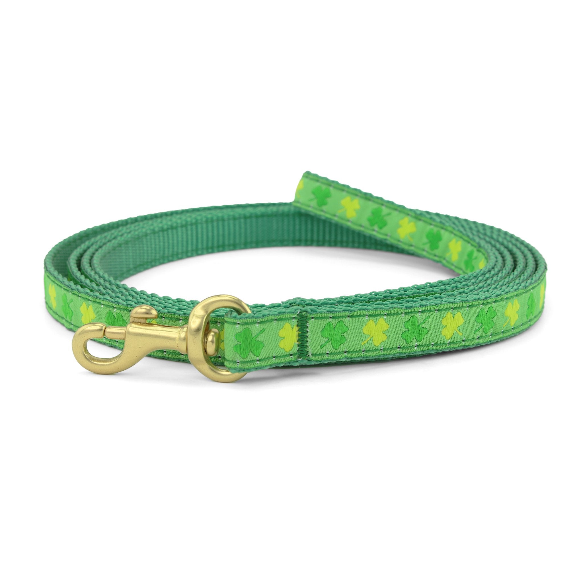 Shamrock Small Breed Dog Lead Dog