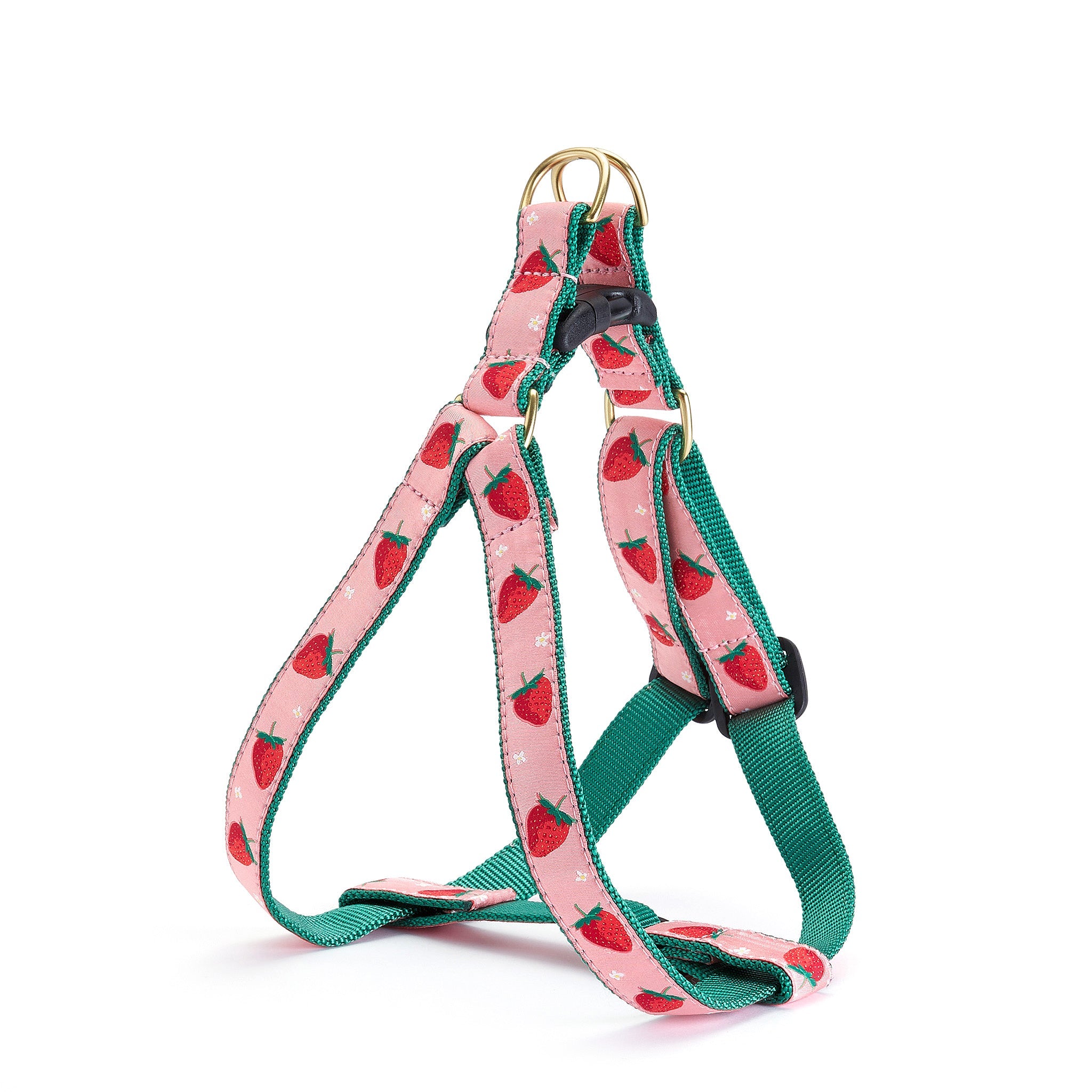 Strawberry Fields Dog Harness Dog