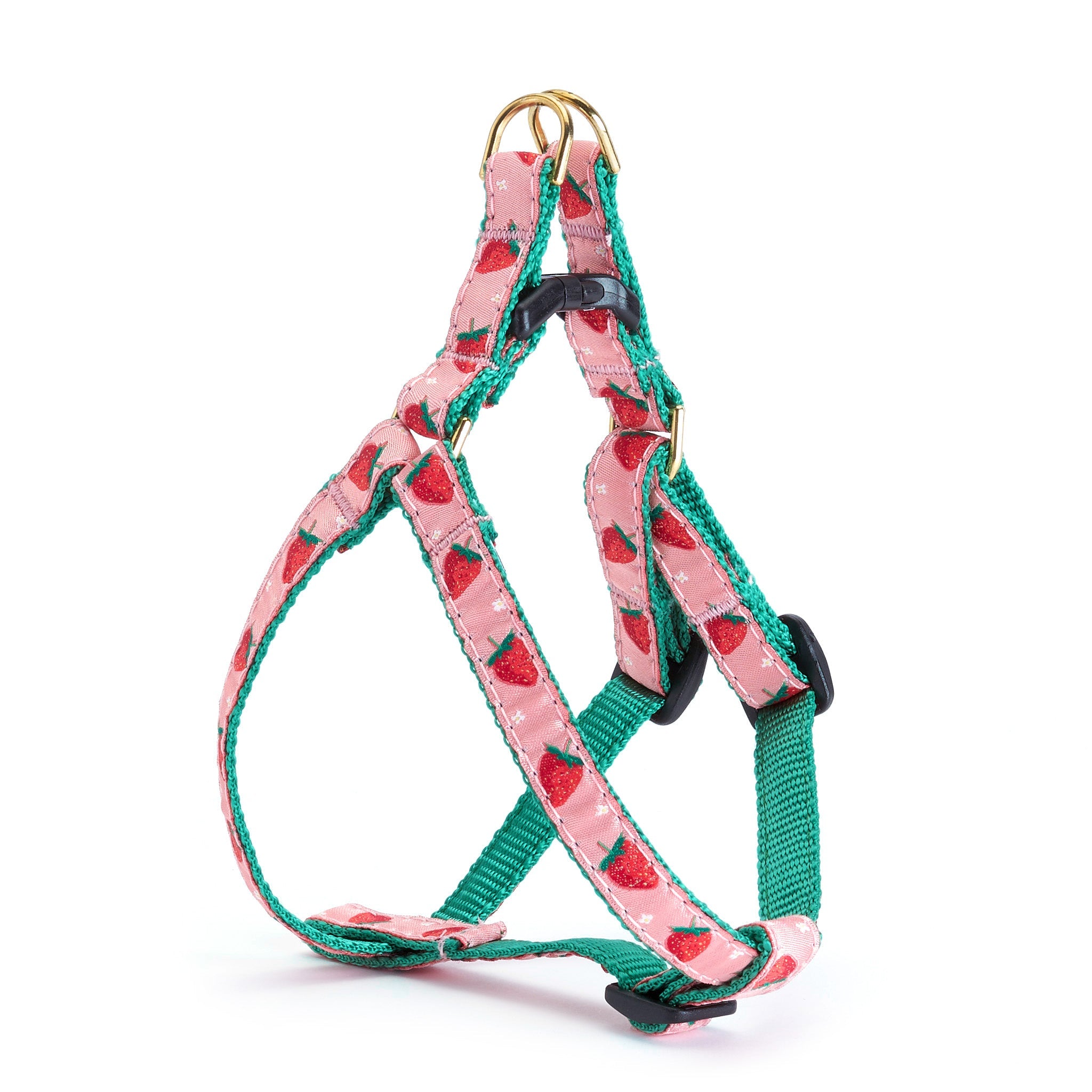 Strawberry Fields Small Breed Dog Harness Dog