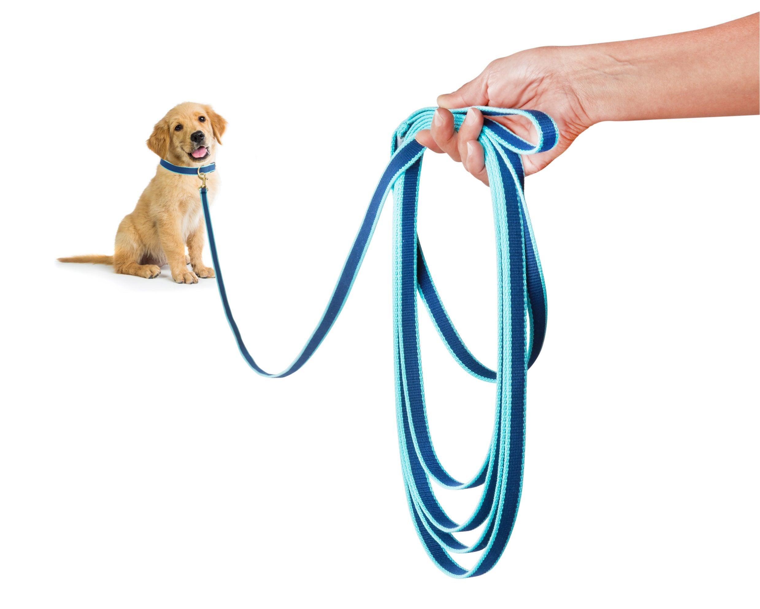 Color Market Training Lead 12 Feet (5 8" Width) Navy & Aqua Dog